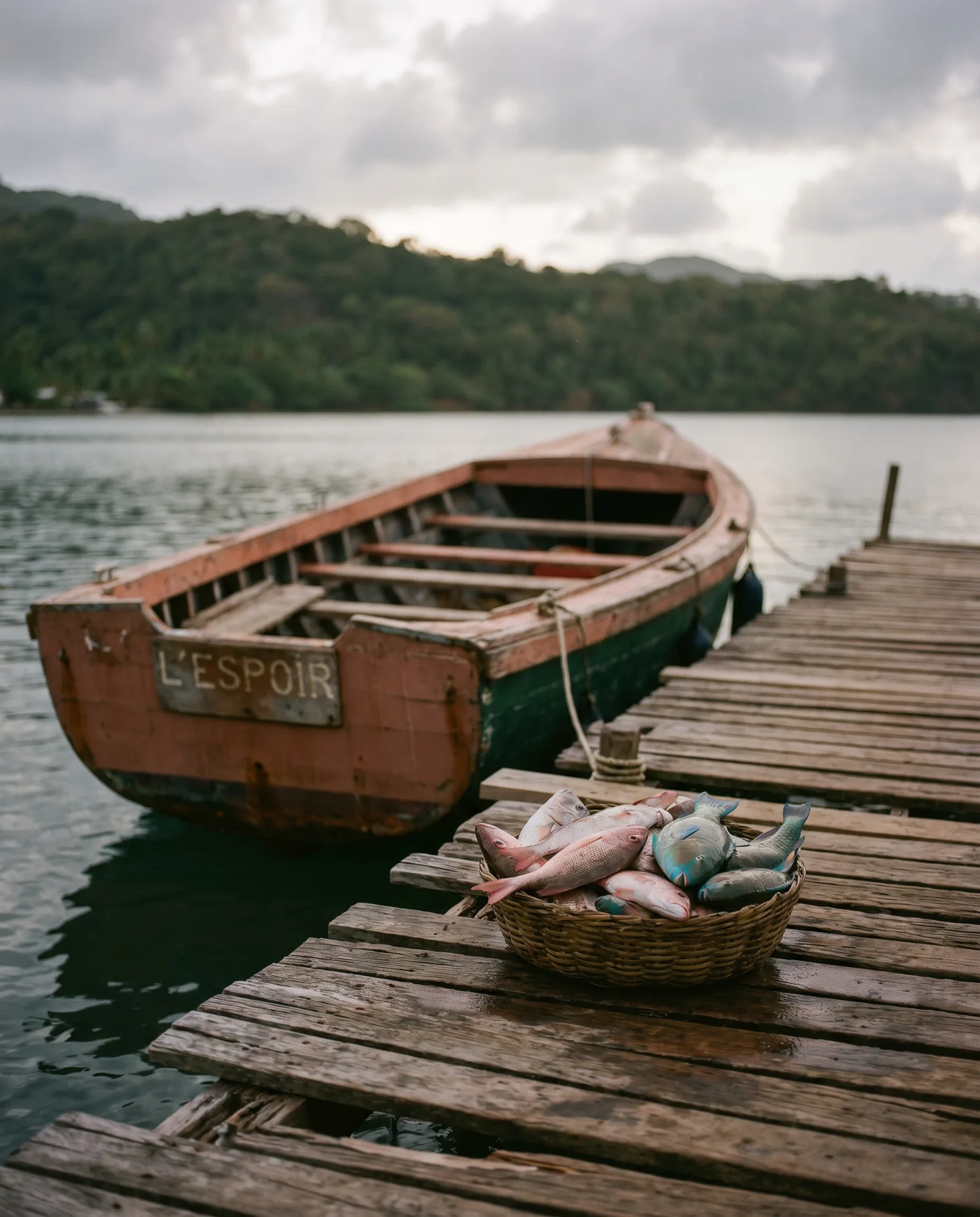 La pêche, embarcation à quai